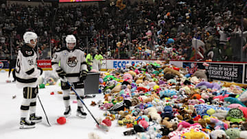 Providence Bruins v Hershey Bears
