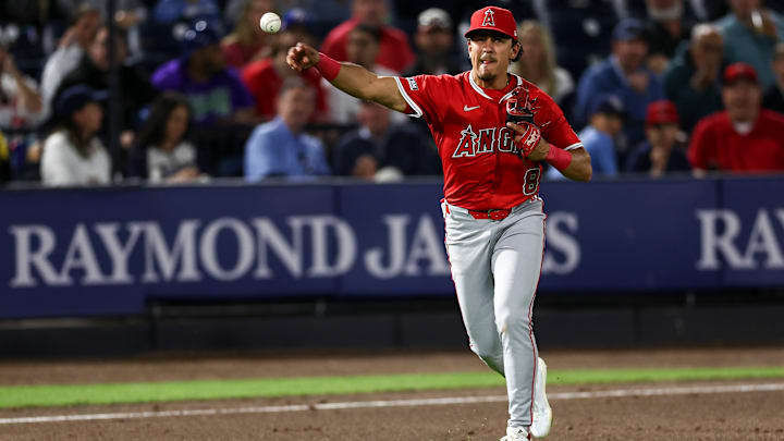 Los Angeles Angels v Tampa Bay Rays