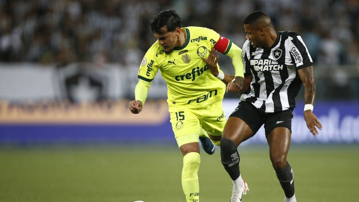 Gustavo Gomez (Palmeiras) e Júnior Santos (Botafogo)