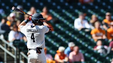 Arizona outfielder Brendan Summerhill is expected to go within the first 10 picks of the 2025 MLB Draft.