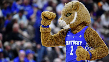 Mar 23, 2019; Jacksonville, FL, USA; The Kentucky Wildcats mascot gestures during the first half of their game against the Wofford Terriers in the second round of the 2019 NCAA Tournament at Jacksonville Veterans Memorial Arena. Mandatory Credit: John David Mercer-Imagn Images