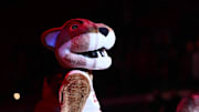 Feb 16, 2023; Pullman, Washington, USA; Washington State Cougars mascot Butch performs before a men   s basketball game against the Oregon State Beavers at Friel Court at Beasley Coliseum. Mandatory Credit: James Snook-Imagn Images