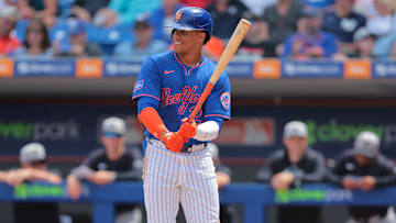 Mar 24, 2025; Port St. Lucie, Florida, USA; New York Mets right fielder Juan Soto (22) looks on during his at bat against the New York Yankees during the first inning at Clover Park. Mandatory Credit: Sam Navarro-Imagn Images