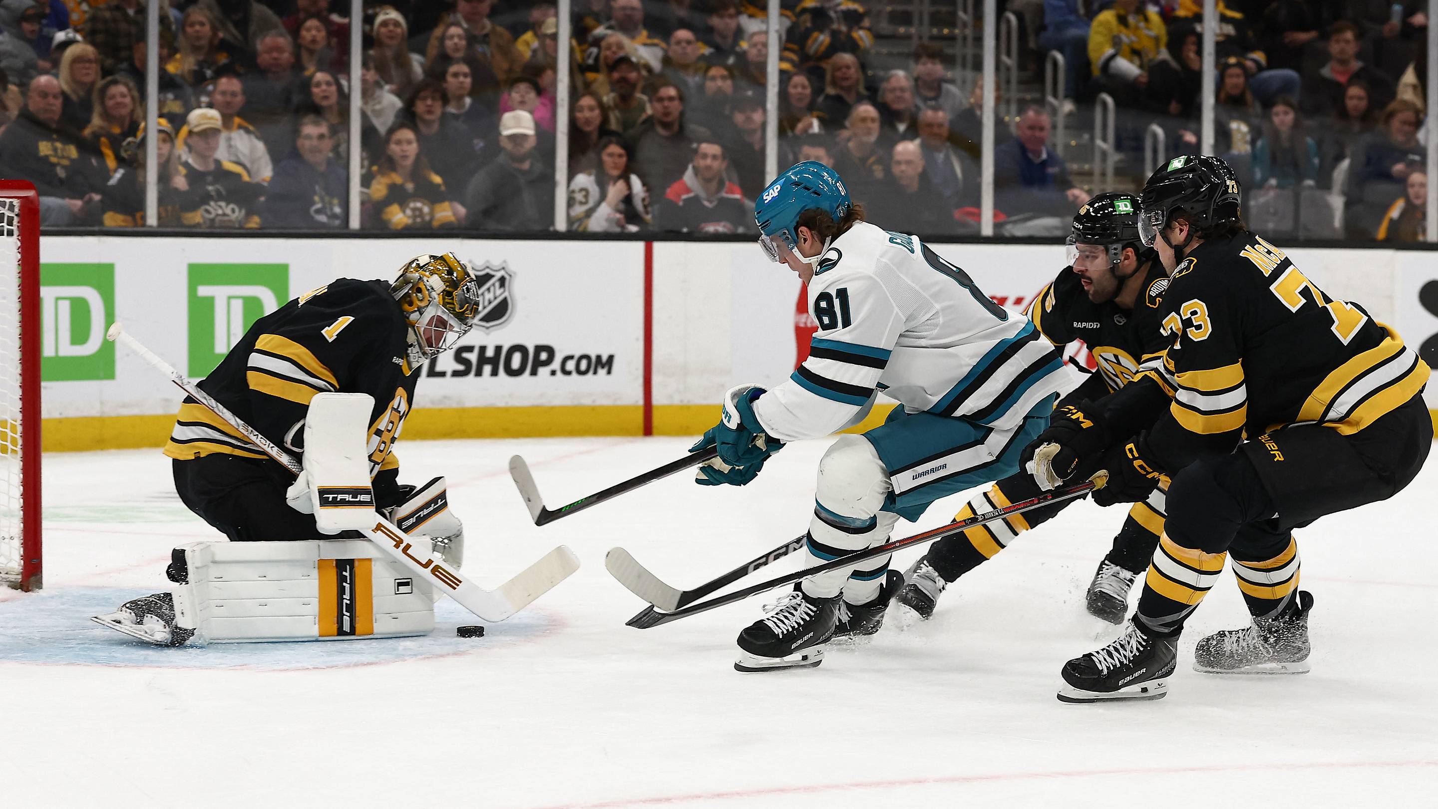 Bruins at Sharks Game Central: How to Watch, Injury Updates