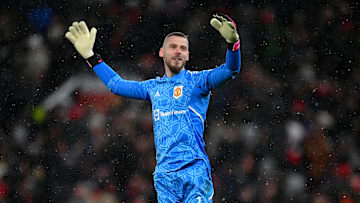 David De Gea
