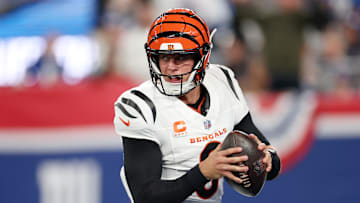 Cincinnati Bengals v New York Giants