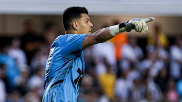 Santos busca resultado positivo para se afastar do Z4 do Brasileirão 