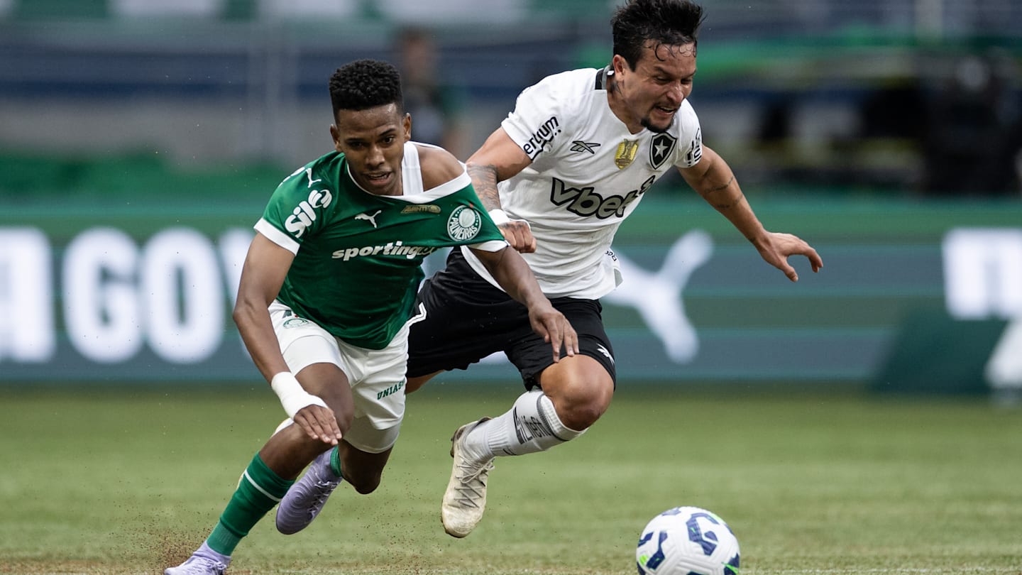 Captivating Botafogo-sp X Palmeiras: Onde Assistir Ao Vivo, Horário E Escalações Landscape Collection