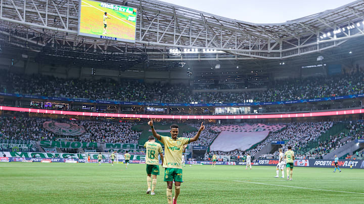 Palmeiras v Criciuma - Brasileirao 2024