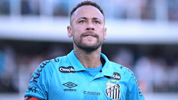 Santos v Botafogo - Brasileirao 2025