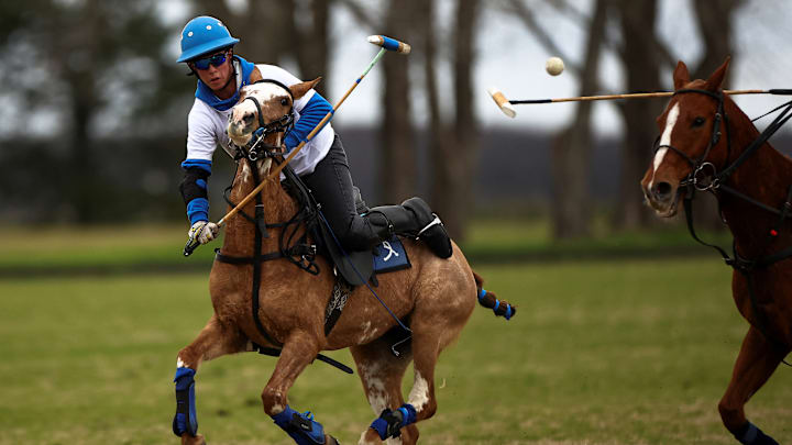 Caballos genéticamente modificados en el polo.