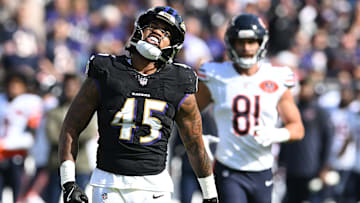 Chicago Bears v Baltimore Ravens