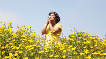 Stopping to smell the flowers isn't all it's cracked up to be.