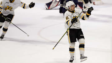 Sarnia Sting v Windsor Spitfires