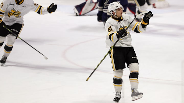 Sarnia Sting v Windsor Spitfires