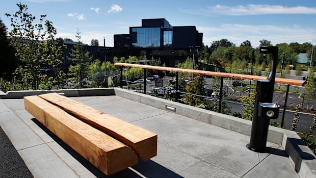 A bench cut from salvaged old growth timber overlooks the new Hatfield-Dowlin Complex on the west side of the reworked north 