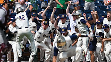 The Notre Dame Fighting Irish team celebrates