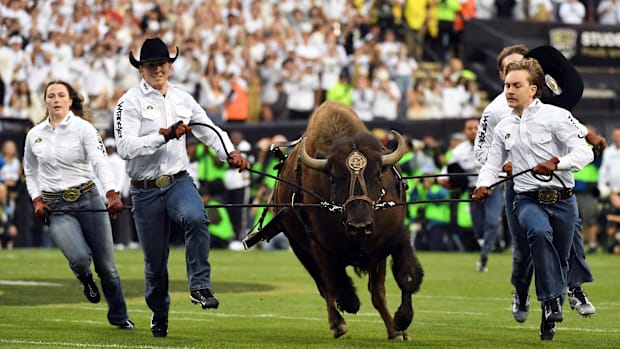 Colorado Buffaloes Ralphie runs on the field before the game against the Baylor Bears at Folsom Field.