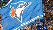 May 27, 2016; Toronto, Ontario, CAN; Toronto Blue Jays mascot Ace waves a Blue Jays flag during the seventh inning stretch during MLB game action against the Boston Red Sox at Rogers Centre. Mandatory Credit: Kevin Sousa-Imagn Images