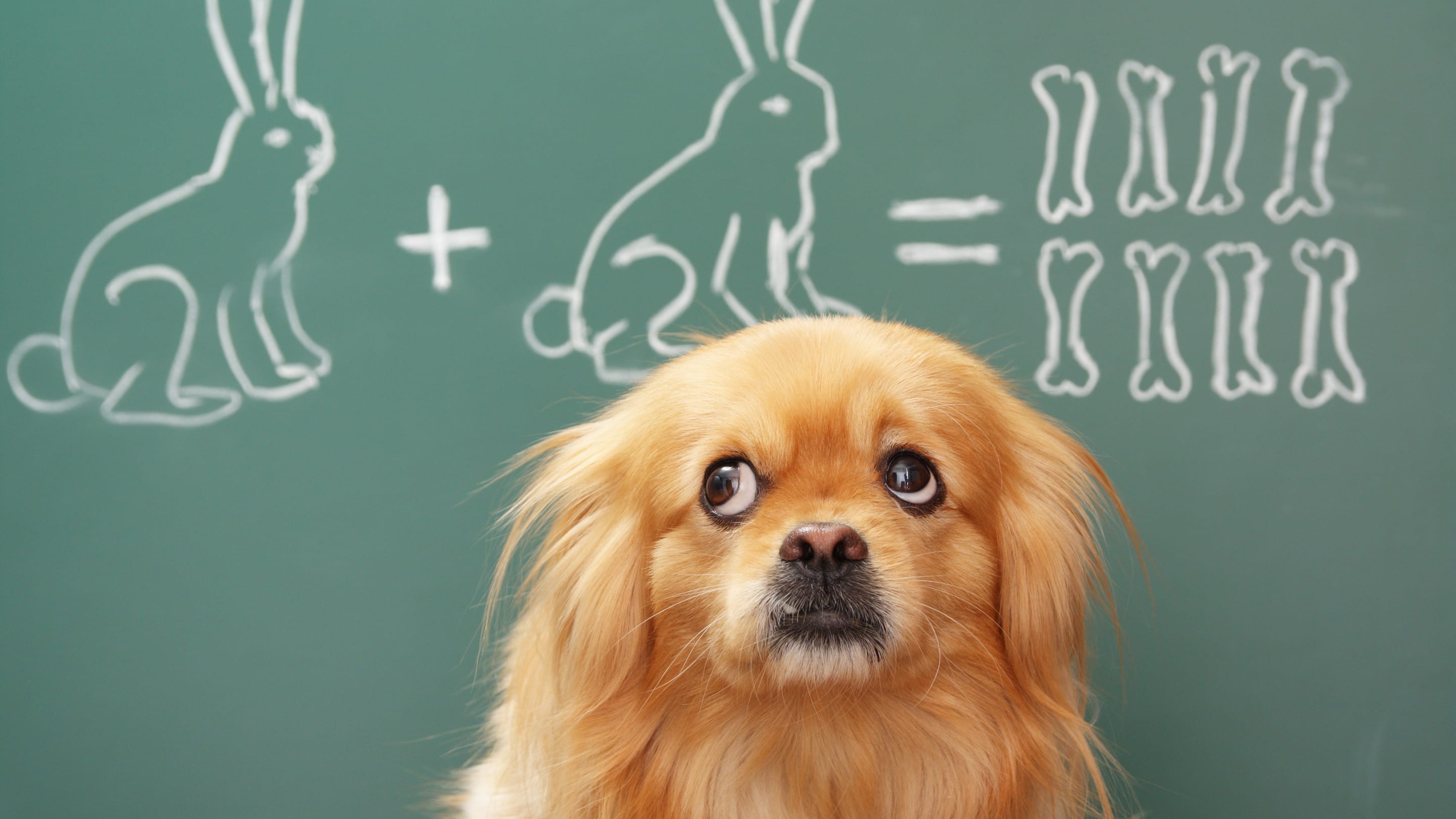 No One Can Figure Out This Second Grade Math Problem