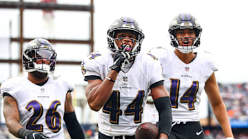 Baltimore Ravens v New England Patriots