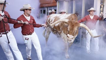 Nov 23, 2024; Austin, Texas, USA; Texas Longhorns live mascot Bevo enters Campbell-Williams Field at Darrell K Royal-Texas Memorial Stadium before a game against the Kentucky Wildcats. Mandatory Credit: Scott Wachter-Imagn Images