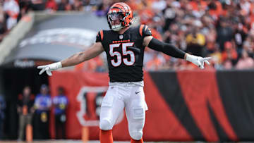 Pittsburgh Steelers v Cincinnati Bengals