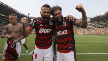Flamengo garantiu sua vaga com o título da Libertadores