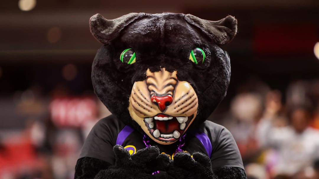 Dec 13, 2025; Atlanta, GA, USA; Prairie View A&M Panthers mascot in the stands against the South Carolina State Bulldogs in the second quarter at Mercedes-Benz Stadium. Mandatory Credit: Brett Davis-Imagn Images