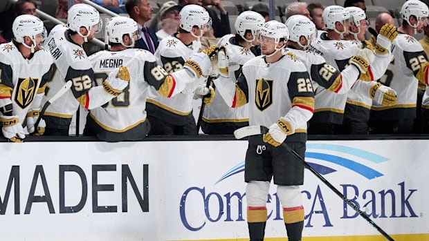 Hockey players celebrate goal score