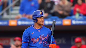 St. Louis Cardinals v New York Mets