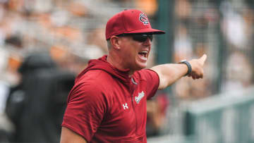 Former South Carolina baseball coach Mark Kingston