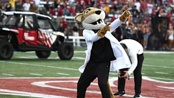 Aug 30, 2025; Pullman, Washington, USA; Washington State Cougars mascot, Butch, performs before a game against the Idaho Vandals at Gesa Field at Martin Stadium. Mandatory Credit: James Snook-Imagn Images