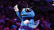 Nov 2, 2024; Charlotte, North Carolina, USA; Charlotte Hornets mascot Buzz entertains fans during a timeout of a game against the Boston Celtics at Spectrum Center. Mandatory Credit: Nell Redmond-Imagn Images