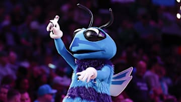 Nov 2, 2024; Charlotte, North Carolina, USA; Charlotte Hornets mascot Buzz entertains fans during a timeout of a game against the Boston Celtics at Spectrum Center. Mandatory Credit: Nell Redmond-Imagn Images