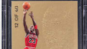 Michael Jordan Titanium Insert