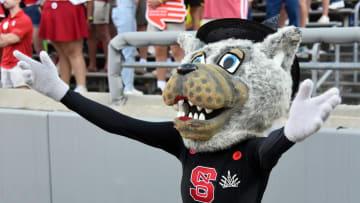 Oct 28, 2023; Raleigh, North Carolina, USA; North Carolina State Wolfpack mascot Ms. Wuf (dressed as a witch) cheers during the second half at Carter-Finley Stadium. Mandatory Credit: Rob Kinnan-USA TODAY Sports
