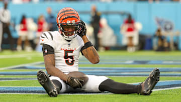 Tee Higgins, Cincinnati Bengals