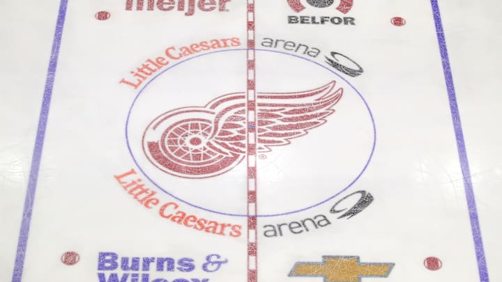 Toronto Maple Leafs v Detroit Red Wings