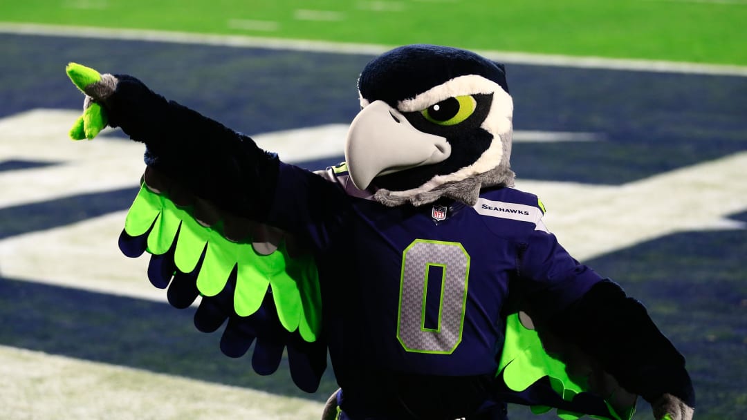 Feb 1, 2015; Glendale, AZ, USA; Seattle Seahawks mascot Blitz in Super Bowl XLIX at University of Phoenix Stadium. Mandatory Credit: Andrew Weber-USA TODAY Sports