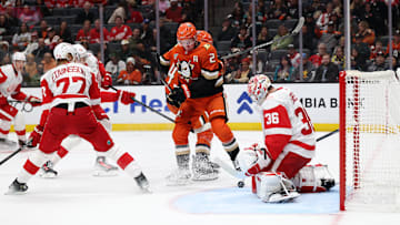 Oct 31, 2025; Anaheim, California, USA;  Detroit Red Wings goaltender John Gibson (36) blocks a shot by Anaheim Ducks defenseman Jackson Lacombe (2) during the second period at Honda Center. Mandatory Credit: Kiyoshi Mio-Imagn Images