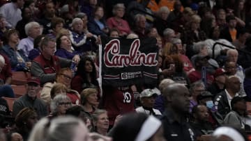 South Carolina basketball fans