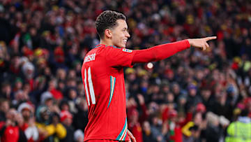 Brennan Johnson celebrates his goal against Iceland 