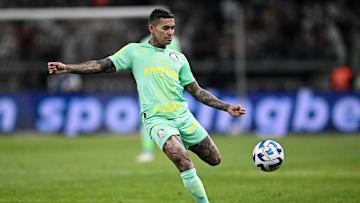 Dudu é um dos protagonistas do Verdão