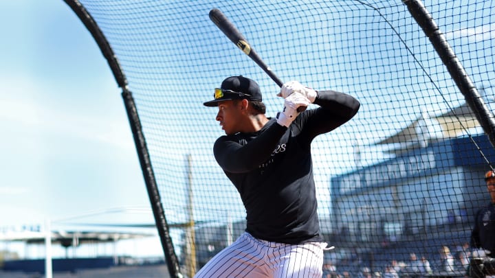 Jorbit Vivas dejó buena sensación con los Yankees de Nueva York en el pasado Spring Training