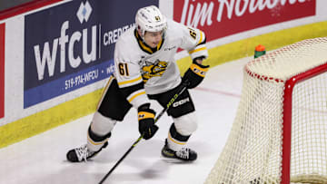 Sarnia Sting v Windsor Spitfires