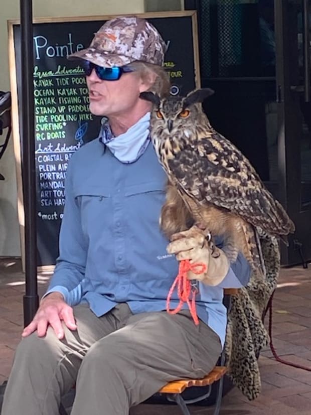 Falconer Joe Roy III and Owly at Terranea Resort