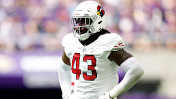 Arizona Cardinals v Minnesota Vikings