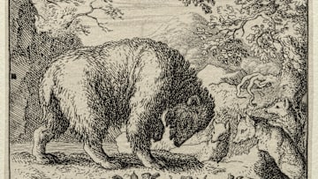 Reynard The Fox: Reynard Promises Honey To The Bear. Creator: Allart Van Everdingen (Dutch