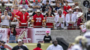 Jun 8, 2025; Birmingham, AL, USA; Fans cheer during the first half of the USFL conference championship football game between the Michigan Panthers and the Birmingham Stallions at Protective Stadium. Mandatory Credit: Vasha Hunt-Imagn Images